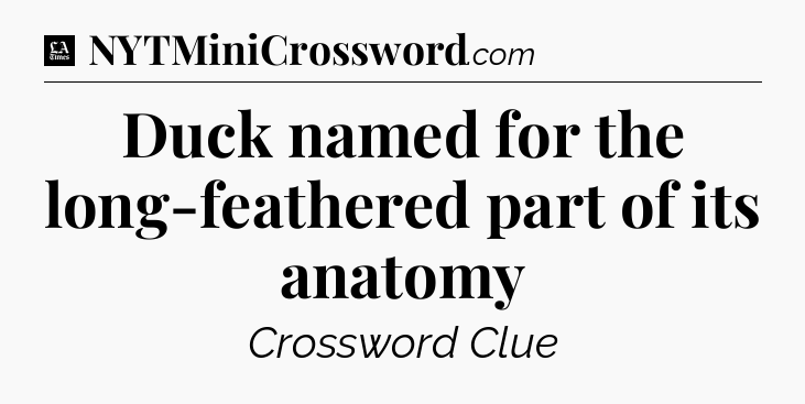 Duck named for the long-feathered part of its anatomy - LA Times Crossword
