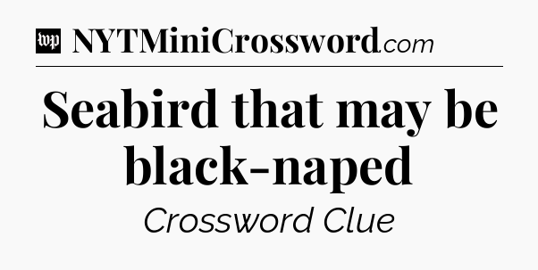 Seabird that may be black-naped Crossword Clue