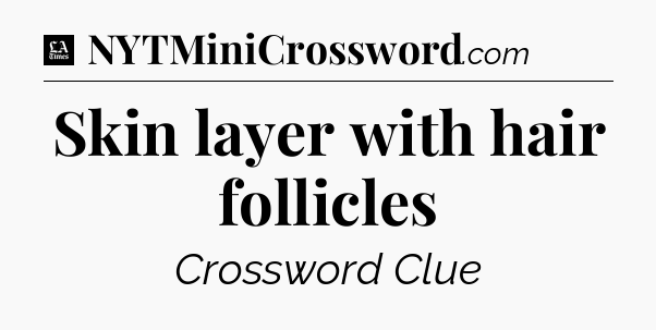 Skin layer with hair follicles - LA Times Crossword