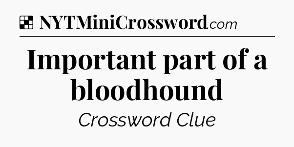 Solution: Important part of a bloodhound - NYT Crossword