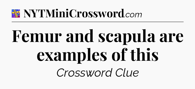 Femur and scapula are examples of this Codycross