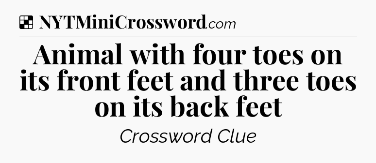 Solution: Animal with four toes on its front feet and three toes on its back feet - NYT Crossword
