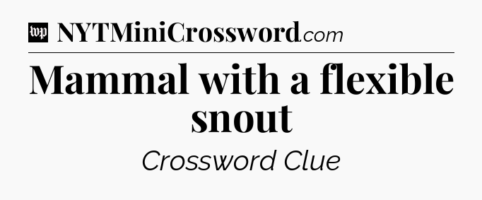 Mammal with a flexible snout Crossword Clue