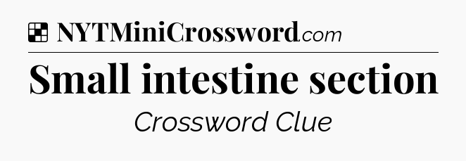 Solution: Small intestine section - NYT Crossword