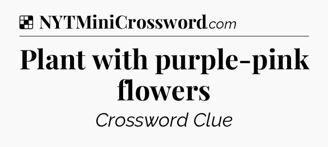 Solution: Plant with purple-pink flowers - NYT Crossword