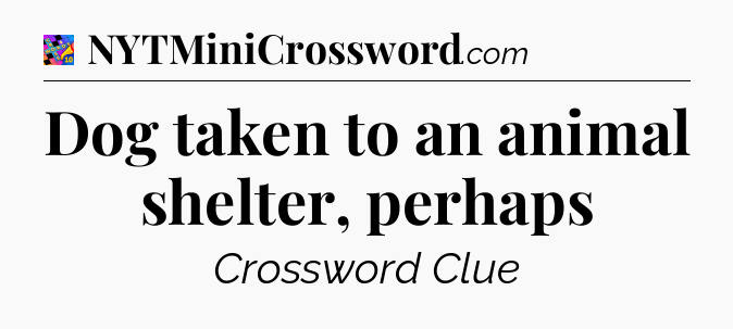 Dog taken to an animal shelter, perhaps Crossword Clue