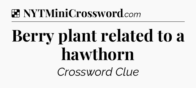 Solution: Berry plant related to a hawthorn - NYT Crossword