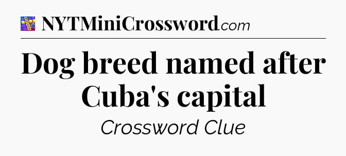 Dog breed named after Cuba's capital Codycross