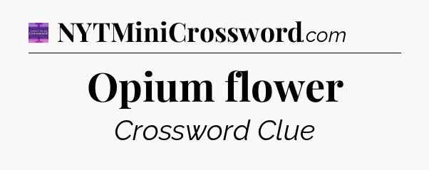 Opium flower - Thomas Joseph Crossword
