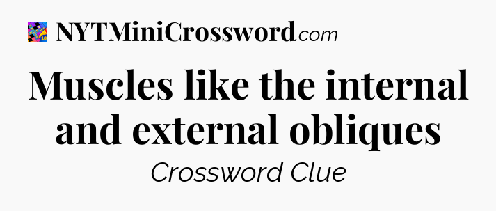 Muscles like the internal and external obliques Crossword Clue