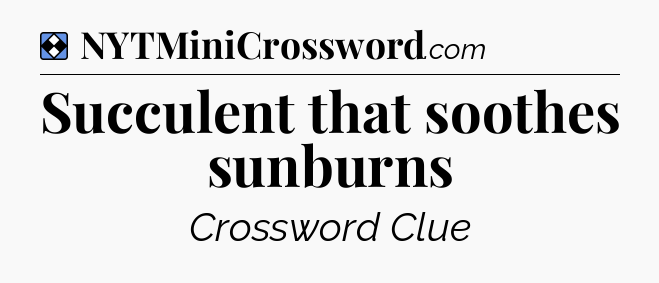 Solution: Succulent that soothes sunburns - NYT Mini Crossword