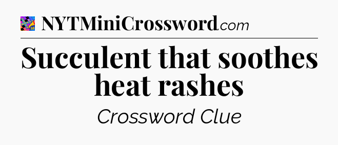 Succulent that soothes heat rashes Crossword Clue