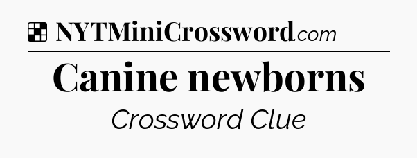 Solution: Canine newborns - NYT Crossword
