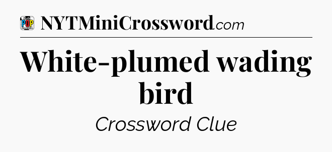 White-plumed wading bird Crossword Clue