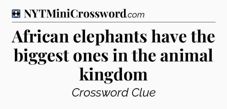 Solution: African elephants have the biggest ones in the animal kingdom - NYT Mini Crossword
