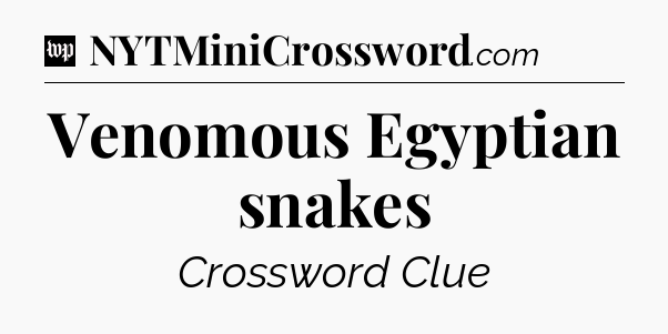 Venomous Egyptian snakes Crossword Clue