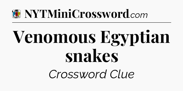 Venomous Egyptian snakes Crossword Clue