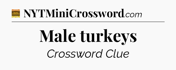 Male turkeys - Eugene Sheffer Crossword