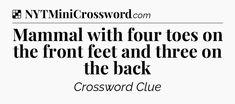 Solution: Mammal with four toes on the front feet and three on the back - NYT Crossword