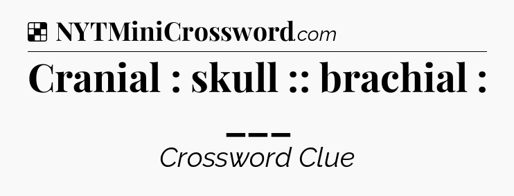 Solution: Cranial : skull :: brachial : ___ - NYT Crossword