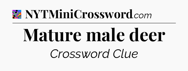 Mature male deer Crossword Clue