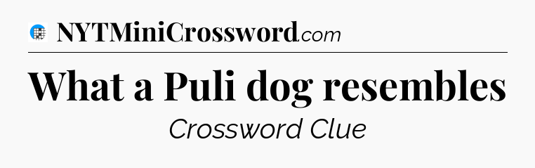 What a Puli dog resembles Crossword Clue