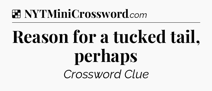 Solution: Reason for a tucked tail, perhaps - NYT Crossword