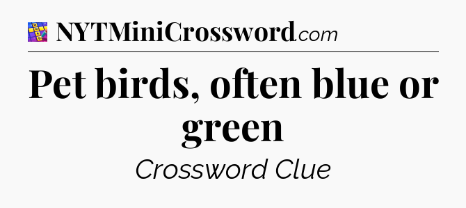Pet birds, often blue or green Codycross