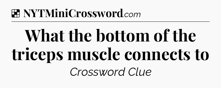 Solution: What the bottom of the triceps muscle connects to - NYT Crossword