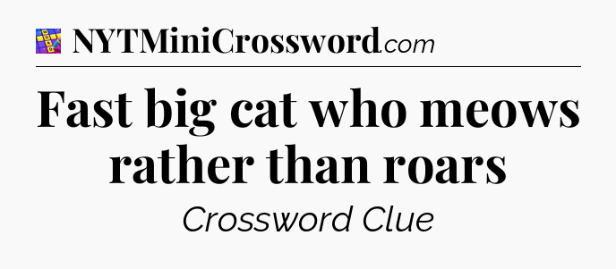 Fast big cat who meows rather than roars Codycross