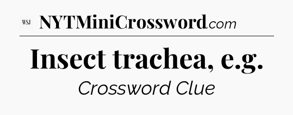 Insect trachea, e.g - WSJ Crossword