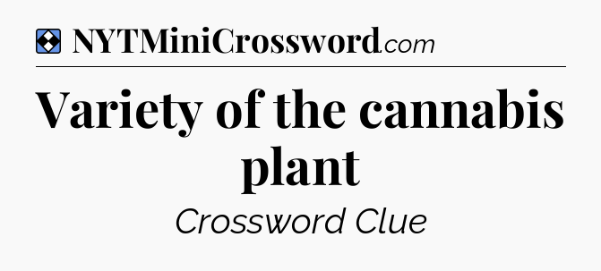 Solution: Variety of the cannabis plant - NYT Mini Crossword