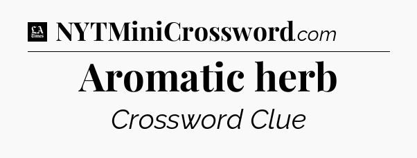 Aromatic herb - LA Times Crossword