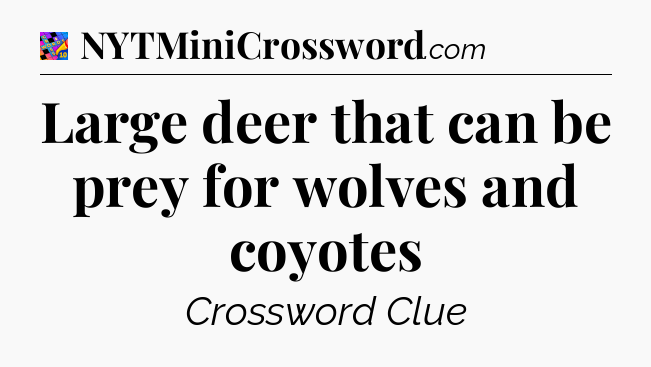 Large deer that can be prey for wolves and coyotes Crossword Clue