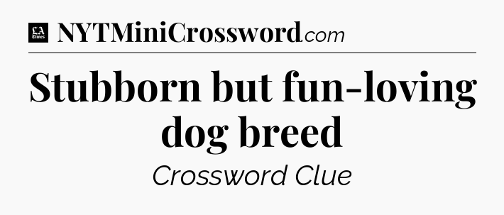 Stubborn but fun-loving dog breed - LA Times Crossword