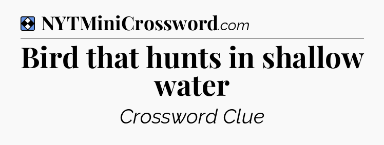 Solution: Bird that hunts in shallow water - NYT Mini Crossword