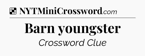 Solution: Barn youngster - NYT Crossword