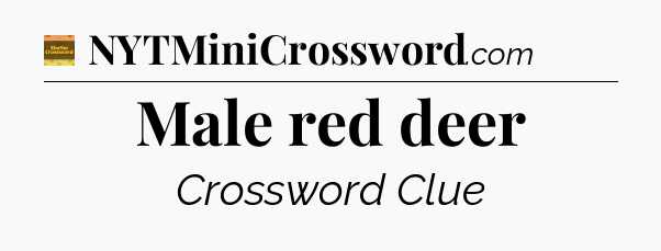 Male red deer crossword clue Eugene Sheffer