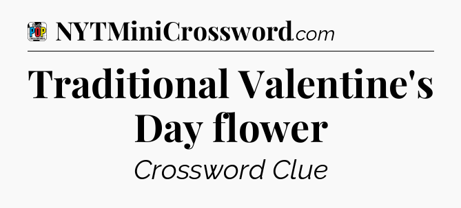 Traditional Valentine's Day flower Crossword Clue