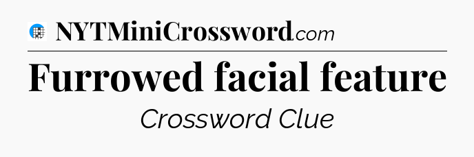 Furrowed facial feature Crossword Clue