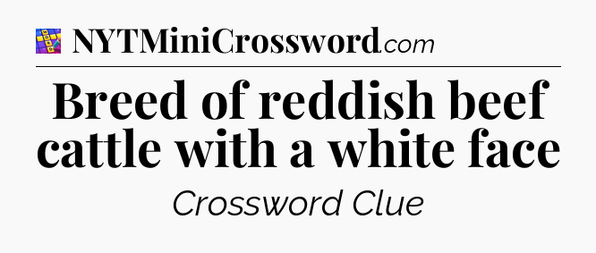 Breed of reddish beef cattle with a white face Codycross