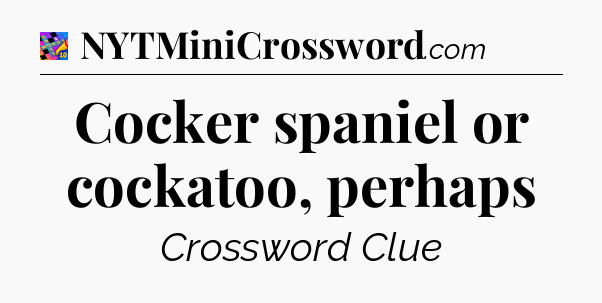 Cocker spaniel or cockatoo, perhaps Crossword Clue