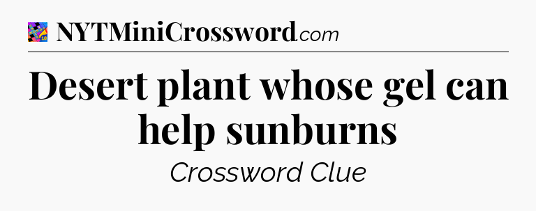 Desert plant whose gel can help sunburns Crossword Clue