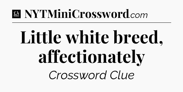 Little white breed, affectionately - LA Times Crossword
