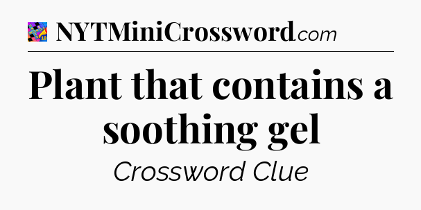 Plant that contains a soothing gel Crossword Clue