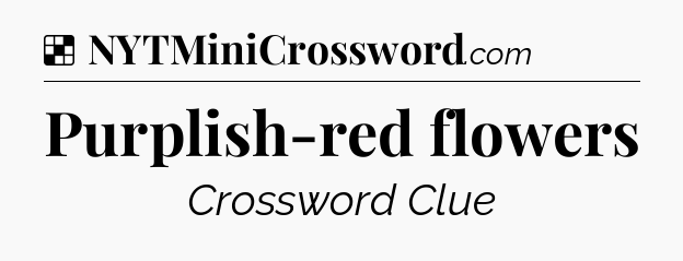 Solution: Purplish-red flowers - NYT Crossword
