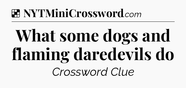 Solution: What some dogs and flaming daredevils do - NYT Crossword