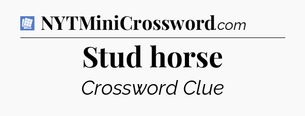 Stud horse Puzzle Page Crossword Clue