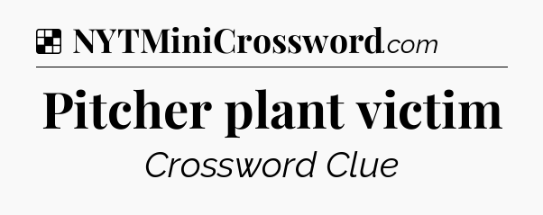 Solution: Pitcher plant victim - NYT Crossword