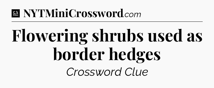 Flowering shrubs used as border hedges - LA Times Crossword